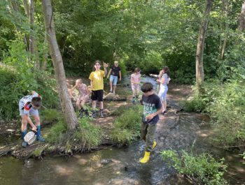 Wassertag 2025: Junge Entdecker aus den Klassen 4b und 4c erforschen den Föhrenbach